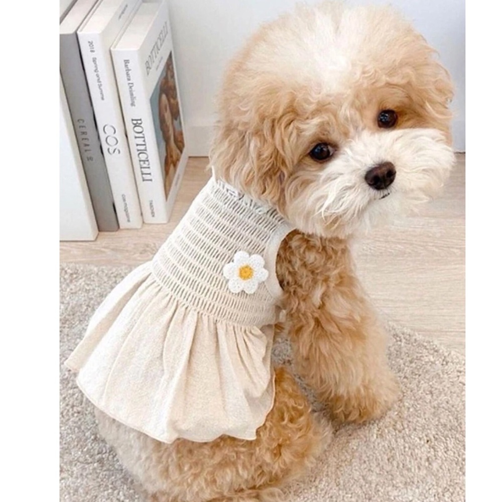 Floral Decor Pet Dress 🐩